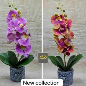 Flower with pot book now 🙂